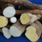 Manteiga, maragogipe e cigana estão entre as variedades de mandioca
