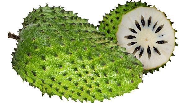 Nome Popular da Graviola e Nome Científico Da Fruta e Do Pé