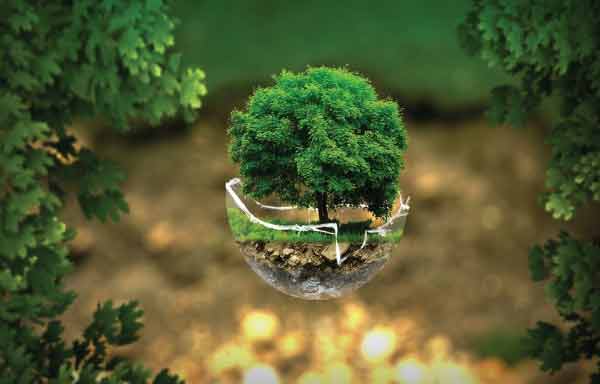 Noções de Ecologia e Poluição Ambiental