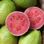 Goiaba Sassaoka Partida