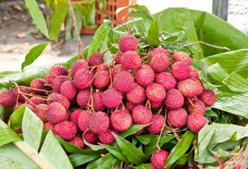 Lichia Emagrece? Ela dá Sono? Como Comer e Fazer Suco?