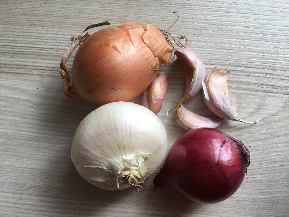Cebola Classificação Botânica e Nome Científico
