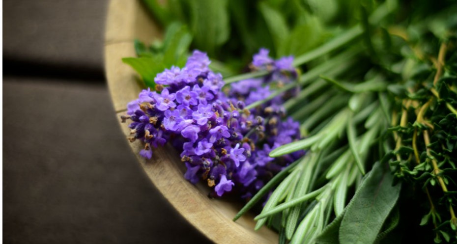 Poder da Lavanda e Energia de Proteção na Umbanda