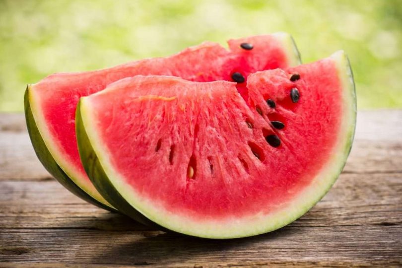 Tudo Sobre a Fruta Melancia: Nome Cientifico, Origem, Historia