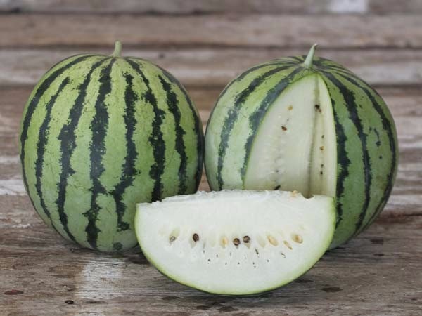 Melancia Branca: Características, Benefícios E Nome Cientifico