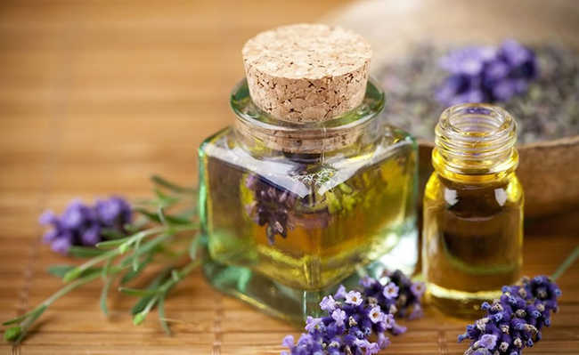 Lavanda: Propriedades Espirituais e Mágicas