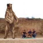 Ilustração do Urso Gigante