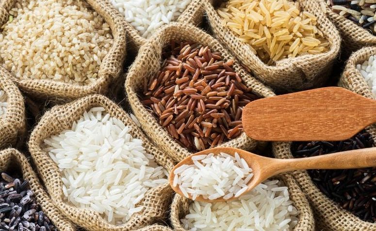 Tudo Sobre o Arroz: Características, Nome Científico e Fotos