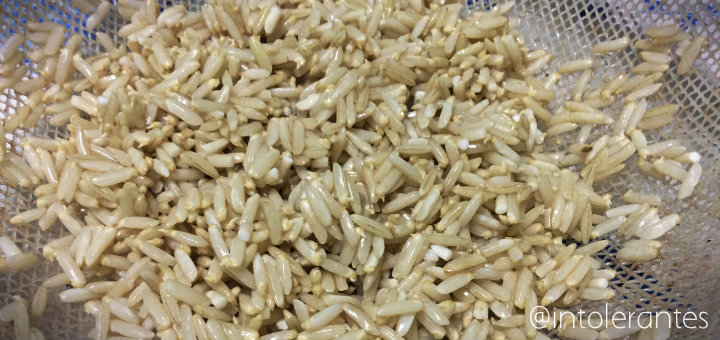 Como Germinar Arroz? Dicas Sobre Germinação de Sementes