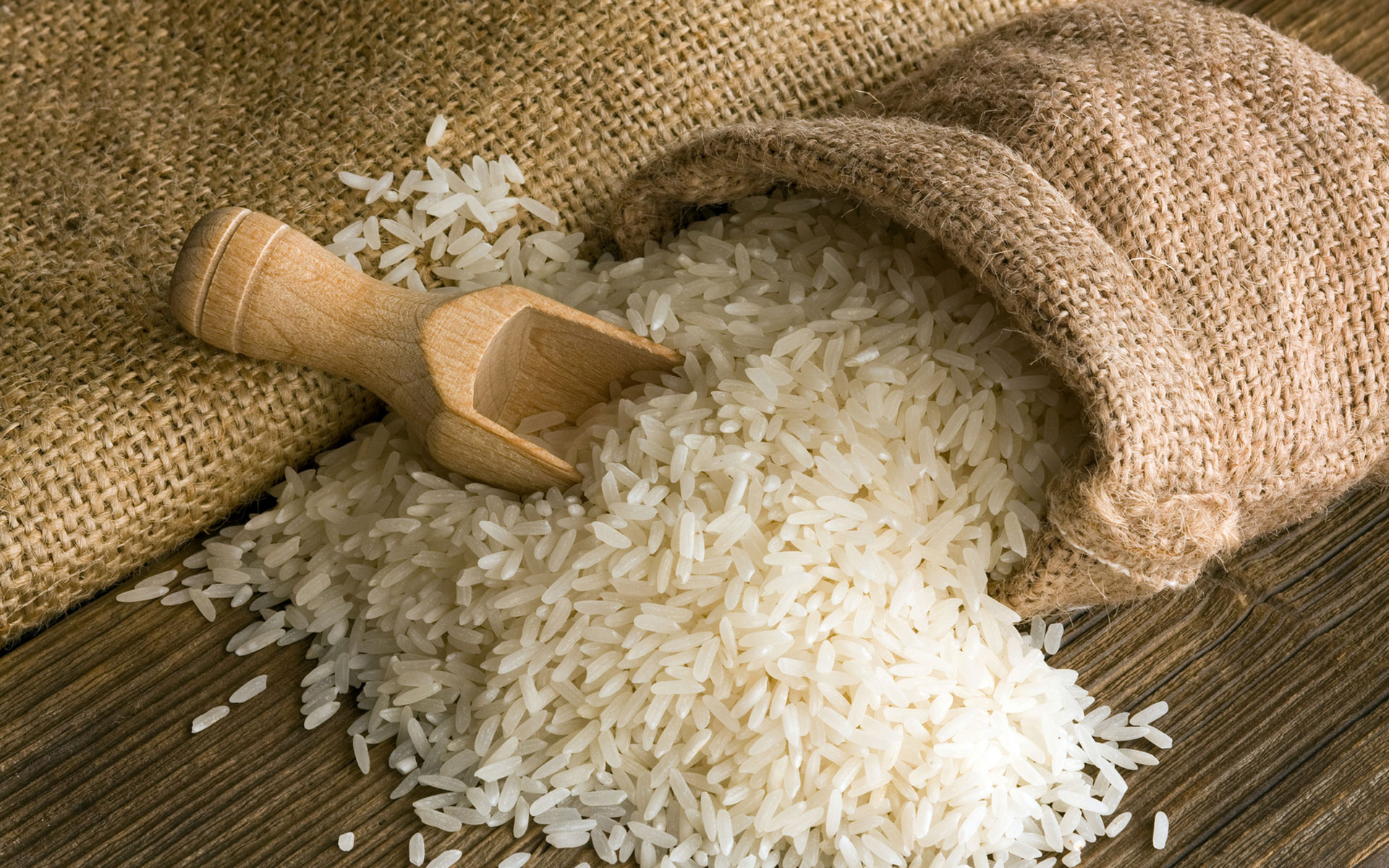 Curiosidades Sobre o Arroz e Fatos Interessantes