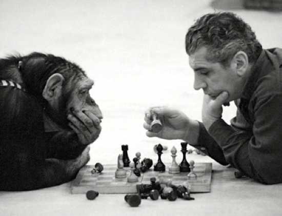 Por Que Os Homens (Os Seres Humanos) São Primatas?