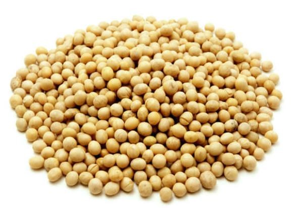 Como Fazer a Soja em Grão? Como Utilizar a Farinha de Soja?