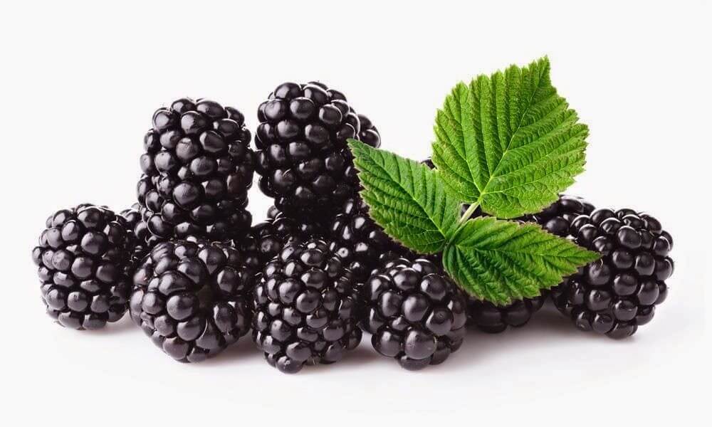 História da Amora, Significado, Origem da Fruta e Fotos