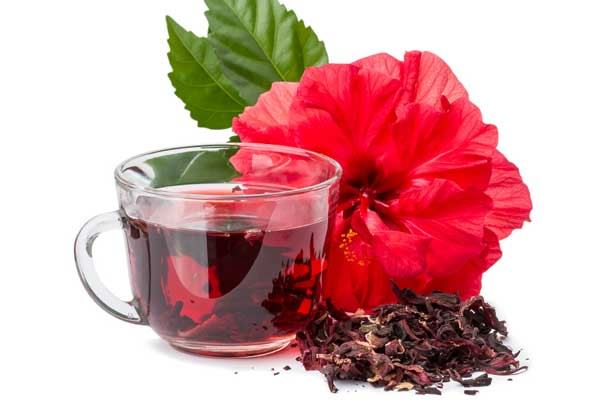 Qual a Quantidade de Chá de Hibisco Pode Tomar Por Dia?