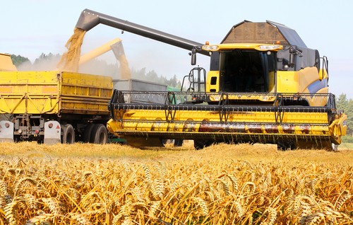 Como Funciona o Agronegócio Brasileiro?