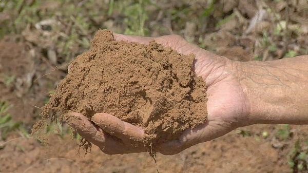 O Que é Edafologia do Solo? Qual o Seu Objetivo?