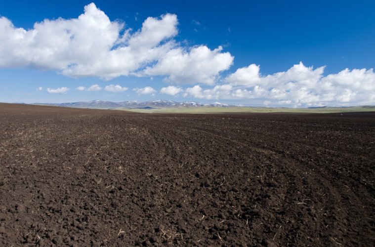 O Que Diminui a Fertilidade do Solo? Como Evitar?