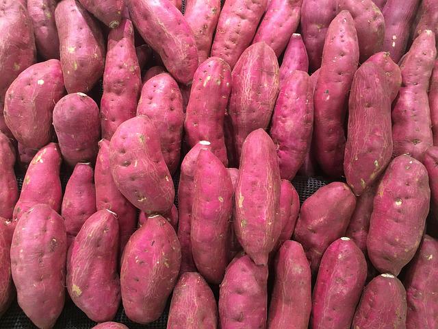 Como Cuidar de um Pé de Batata Doce?