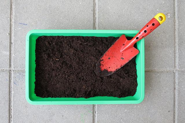 O Que é Bom para Plantar em Casa?