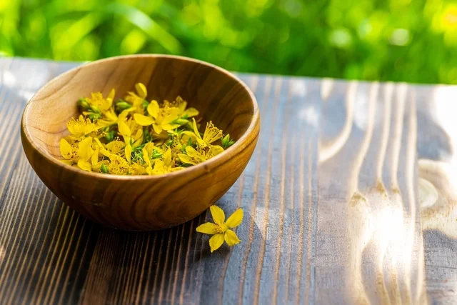 A Importância das Plantas Medicinais para a Saúde Feminina