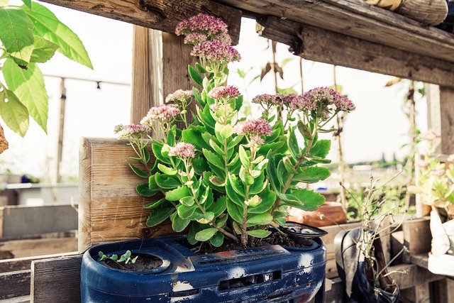 Jardins Urbanos: Ideias para Pequenos Locais