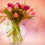 Vaso de Tulipas