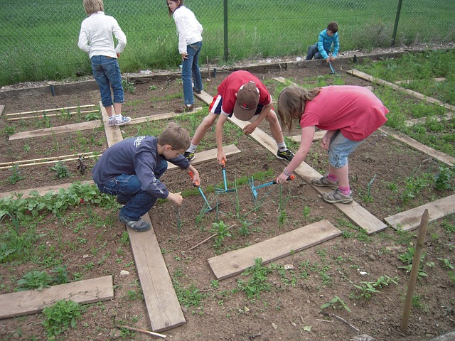 Horta na Escola: Educação Nutritiva